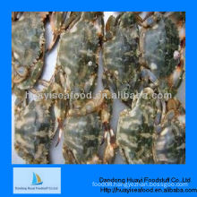 New frozen whole charybdis japonica